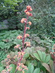 DSC00054.JPG