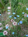 DSC00056.JPG