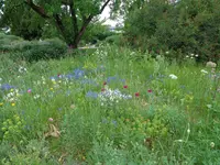 DSC00059.webp