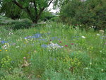 DSC00059.JPG