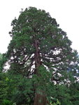 DSC00062.JPG