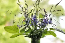 image001.webp