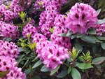 IMG_20220526_120339.jpg