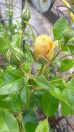 20220526_182047.webp