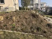 2289E233-0AB5-49DF-B13B-67D78E5E6B60.jpeg