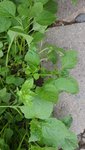 20220526_190749.jpg