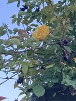 IMG_0828(1).webp