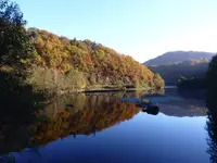 FB_IMG_1653327383072.jpg