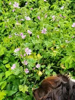 IMG_20220526_162632.webp