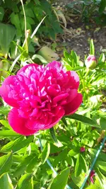 20220513_175854.webp