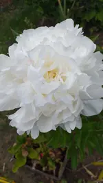 20220519_174720.webp