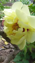 20220519_174741.webp