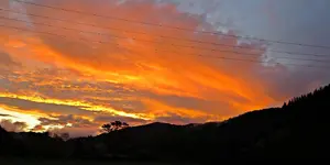IMG_7772 v (2).webp