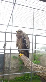 20220527_105015.webp