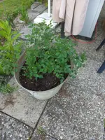 20220527_203255.webp