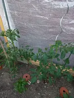 20220527_203121.webp