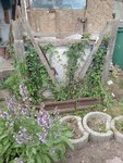 IMG_20220525_150313.jpg