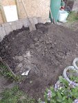 IMG_20220525_184428.jpg
