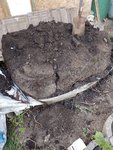 IMG_20220525_180133.jpg