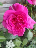 IMG_20220527_184208.webp