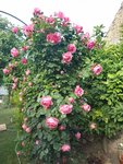IMG_20220527_184047.jpg