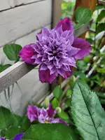 20220526_114818.webp