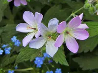 DSCF2942 (2).webp