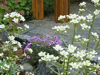 DSCF2951 (2).webp