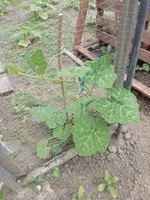 IMG_20220527_150146.webp