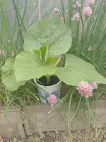 IMG_20220528_141602.webp