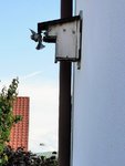 IMG_20220528_171330.jpg