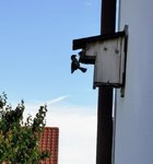 IMG_20220528_171343.jpg