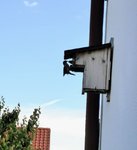 IMG_20220528_171340.jpg