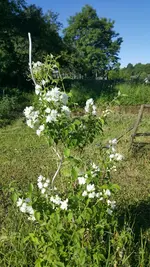 IMG-20220528-WA0009.webp
