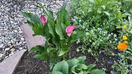 20210710_204432.webp
