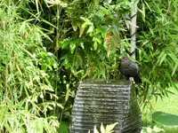 DSCF2934 (2).webp