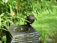 DSCF2935 (2).webp