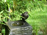 DSCF2935 (2).JPG