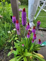20220528_125122.webp
