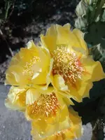 IMG_20220528_163650.webp