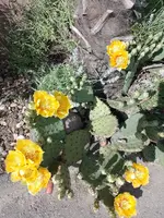 IMG_20220528_171350.webp