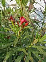 IMG_20220528_184047.webp