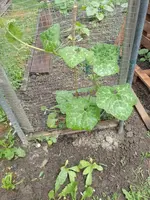 IMG_20220529_132733.webp
