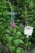 Mai   4722.webp