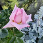 20220526_120123.webp