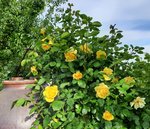 20220528_183430.jpg