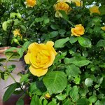 20220528_183446.jpg