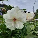 20220529_082401.webp