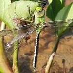 20220520_084006.jpg