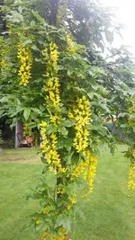 20220529_093320.jpg